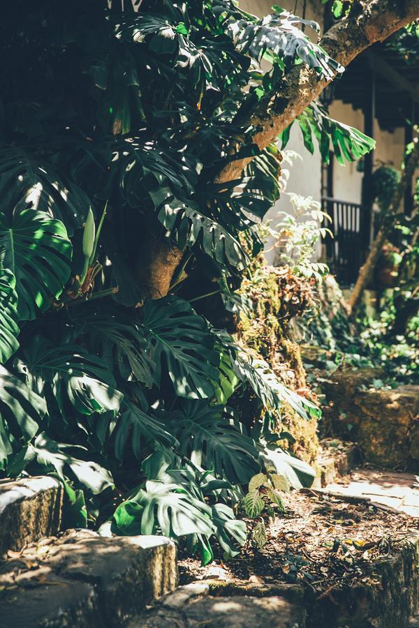 Hotel Hacienda Baza Tibana Exterior foto